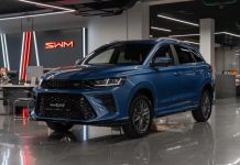 SWM для Москвы: выбираем кроссовер